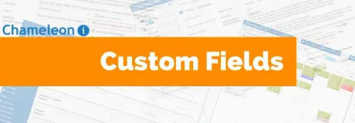 Custom Fields: what they are + how to use them
